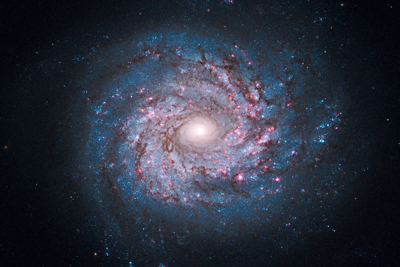 Spiral galaxy
